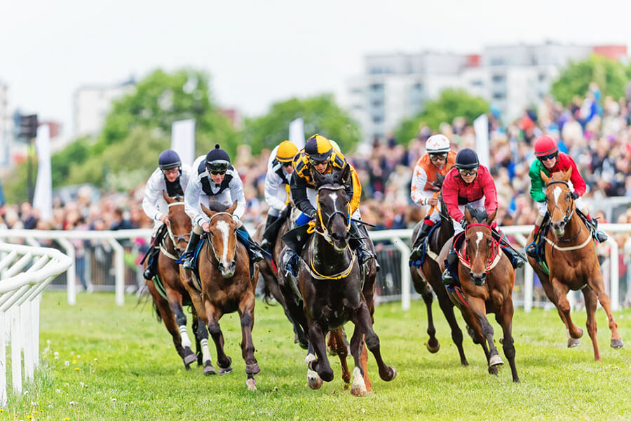 Horse Racing - Cricbet99 Official